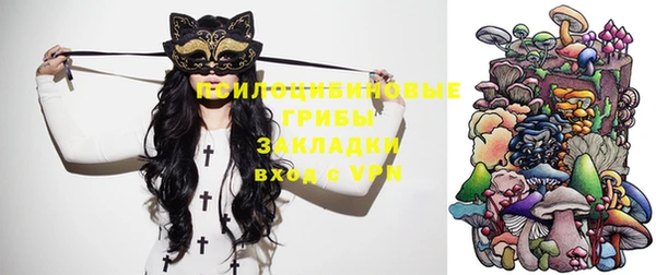 a pvp Алексин