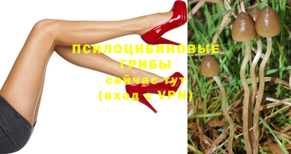 амф Алексеевка