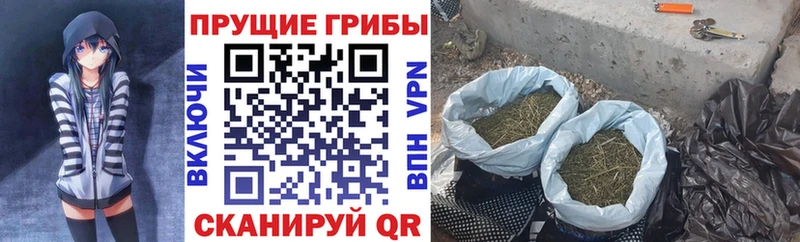 mega ССЫЛКА  сколько стоит  Тихвин  Псилоцибиновые грибы мицелий 