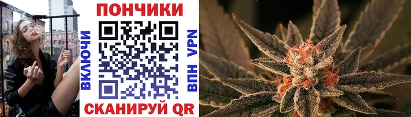 где найти наркотики  Тихвин  Шишки марихуана сатива 